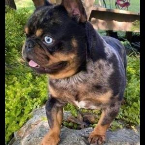 Meet your Posher, Dejon